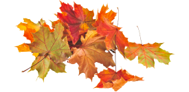 Falling Into Christmas